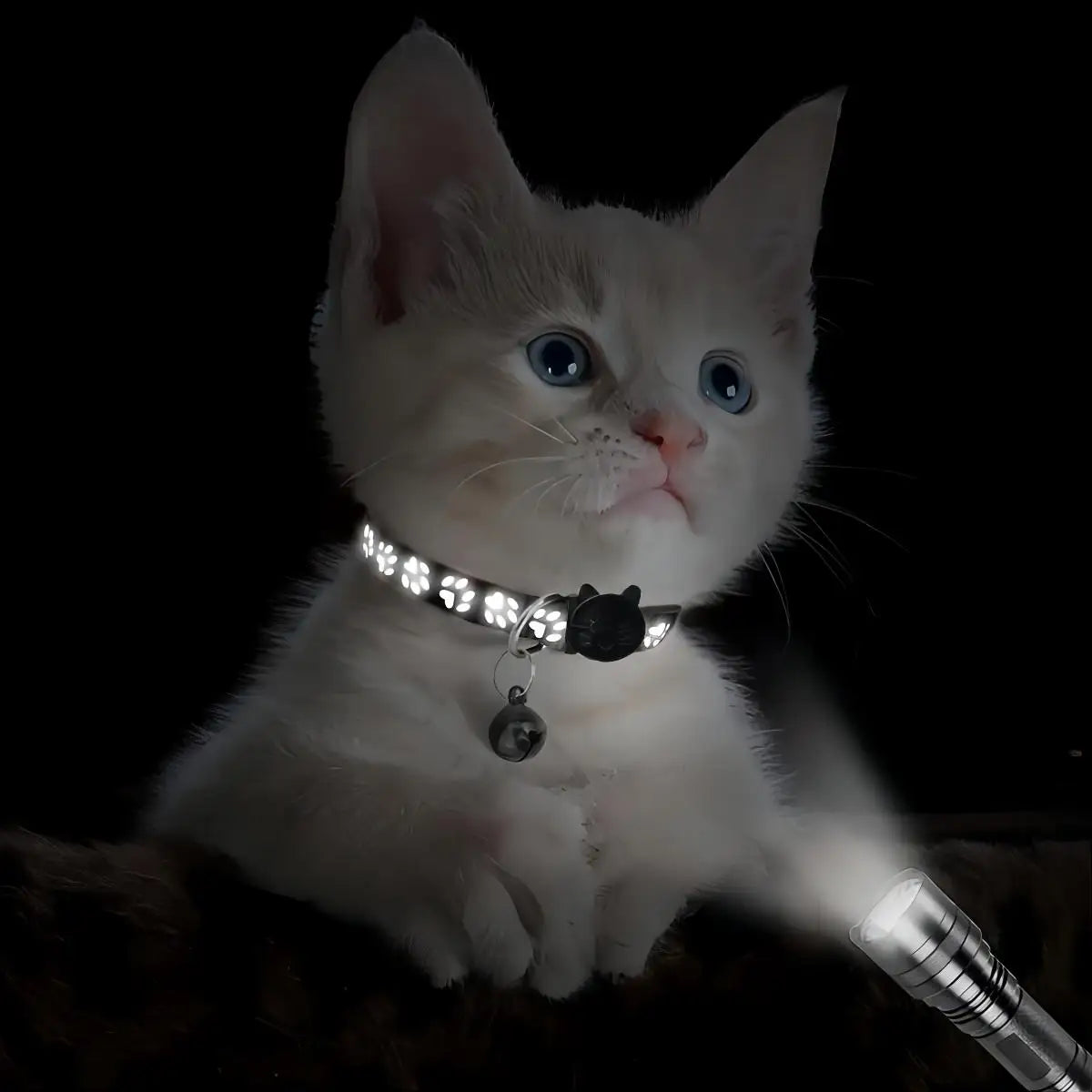 2 PC cat and dog footprints really reflective pet collar+strip reflective pet collar, reflective anti-lost pet collar.